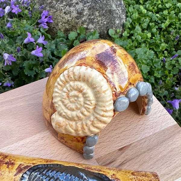 kleine Kuppel mit Ammonit