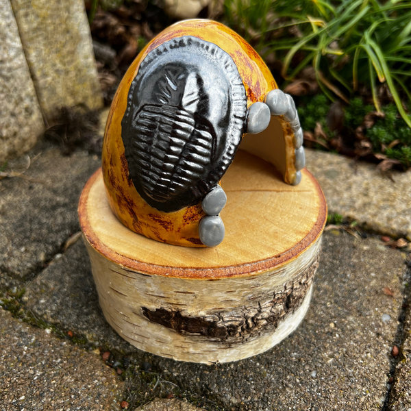 kleine Kuppel mit Trilobit